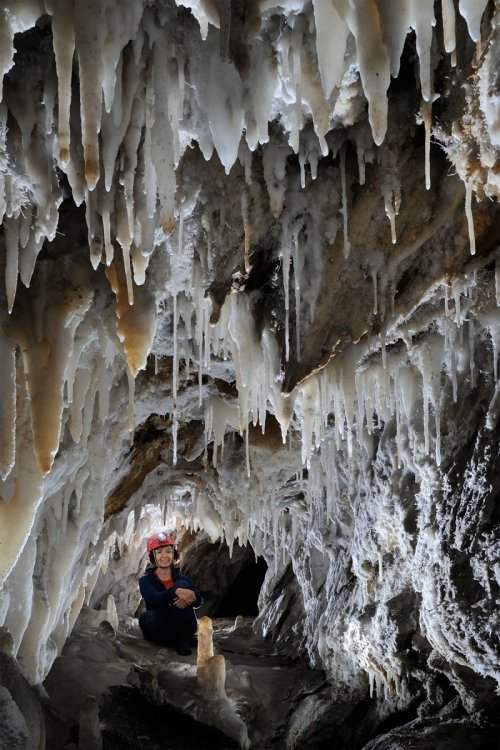 Grotte des Canalettes (Pyrénéesz Orientales) - Petite galerie tapissée de concrétions de calcite blanche(SP-12-0919)